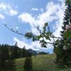 Blick zur Hoichsalwand von Breitenberghütte