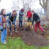 Junge Kanuten der NaturFreunde Erlangen pflanzen eine Roterle am Bootshaus. Junge Kanuten der NaturFreunde Erlangen pflanzen eine Roterle am Bootshaus.