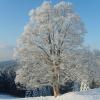 Naturfreundehaus Brend im Winter Naturfreundehaus Brend im Winter