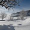 Naturfreundehaus Römerstein im Winter