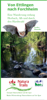 Titelbild Flyer