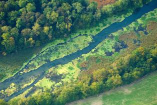 Rheinlandschaft