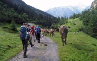 Klassenfahrt einmal anders: Wanderung von Hannover in die Alpen