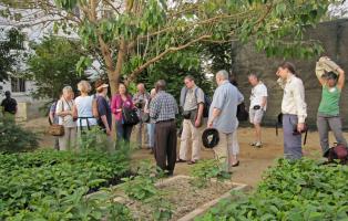 Besuch einer Baumschule in Afrika