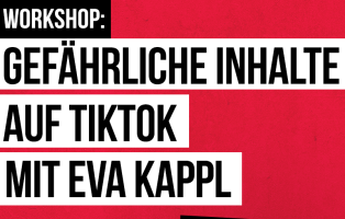 Workshop: Gefährliche Inhalte auf TikTok mit Eva Kappl