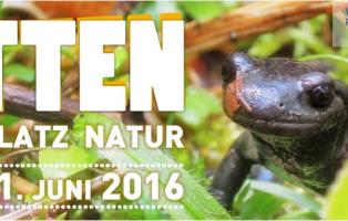 Sutten - Tummelplatz der Natur