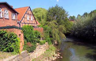 Flusslandschaft der Jahre 2016/17: Trave (Stadtarm bei Bad Oldesloe)