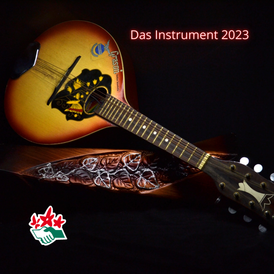 Die Mandoline Das Instrument des Jahres 2023 NaturFreunde