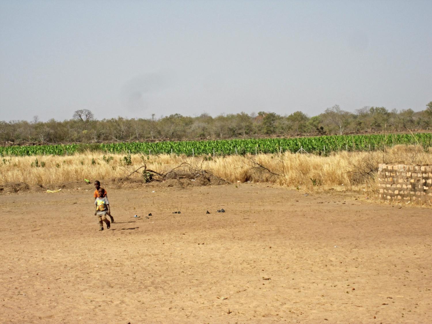 Landgrabbing auch in der Landschaft des Jahres | NaturFreunde ...