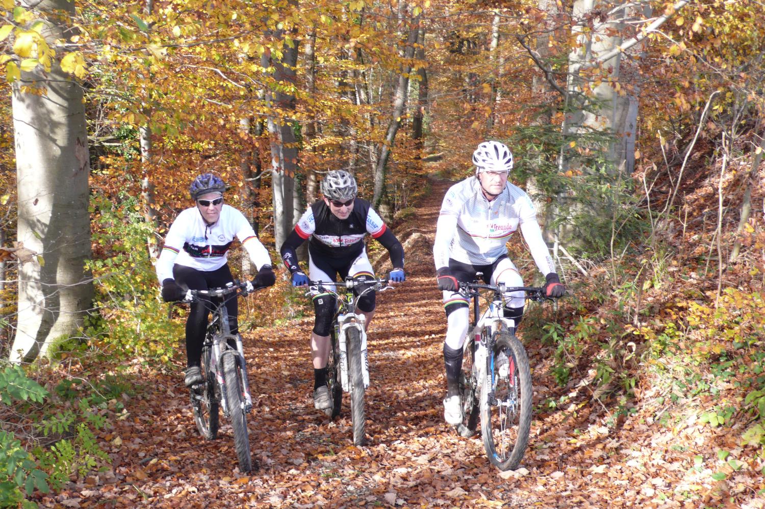 mountainbike damen 26 zoll mit gepäckträger HILAND Elektomountainbike Gepäckträger, 250W Motor, 36V 7.8Ah Akku, Elektrofahrrad mit Scheibenbremsen vorne und hinten, E-Bike für und Herren, Grau Sport & Freizeit circus Size/Color:Standard Sand (Pastel Series) Ordnung in der Fototechnik: