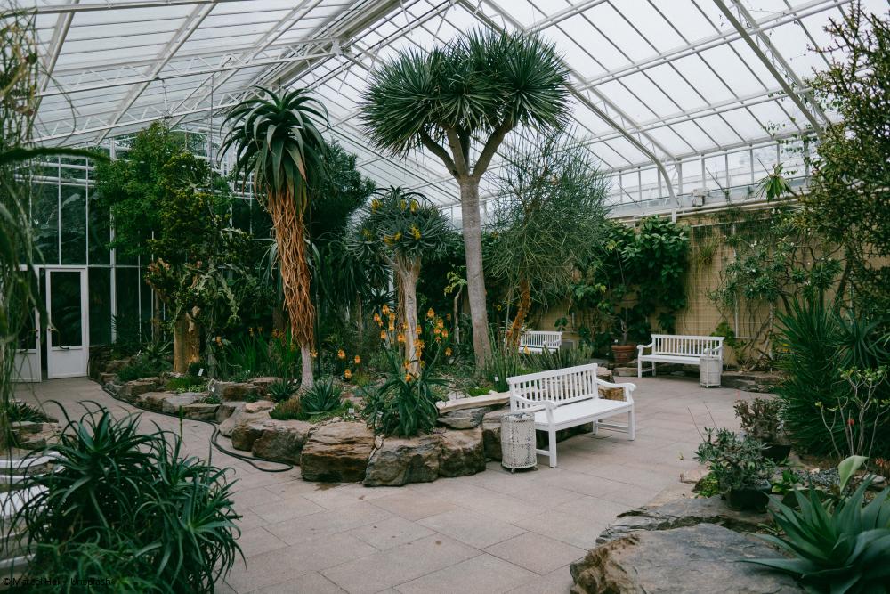 Wir besuchen den Botanischen Garten NaturFreunde